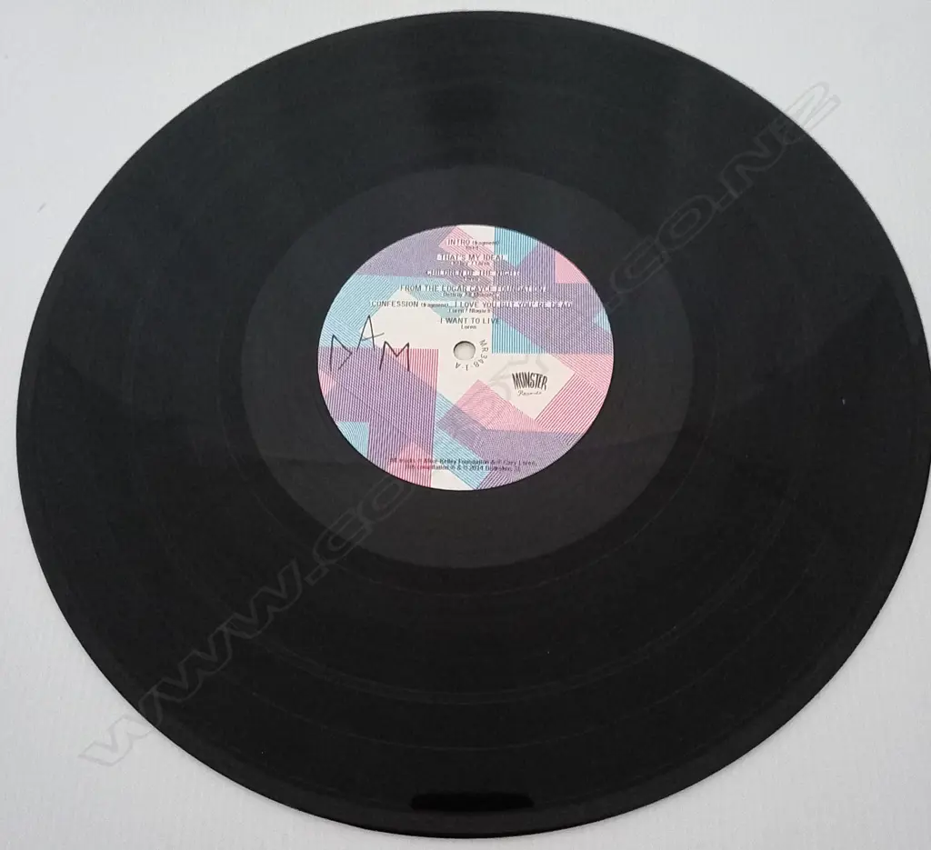 Destroy all Monsters, Early Warning (Triple album) Image 1++
